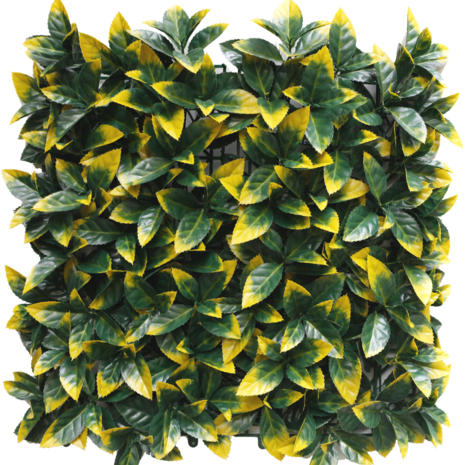 Greenmoods Siepe artificiale Photonia giallo 50x50 cm UV - Greenmoods