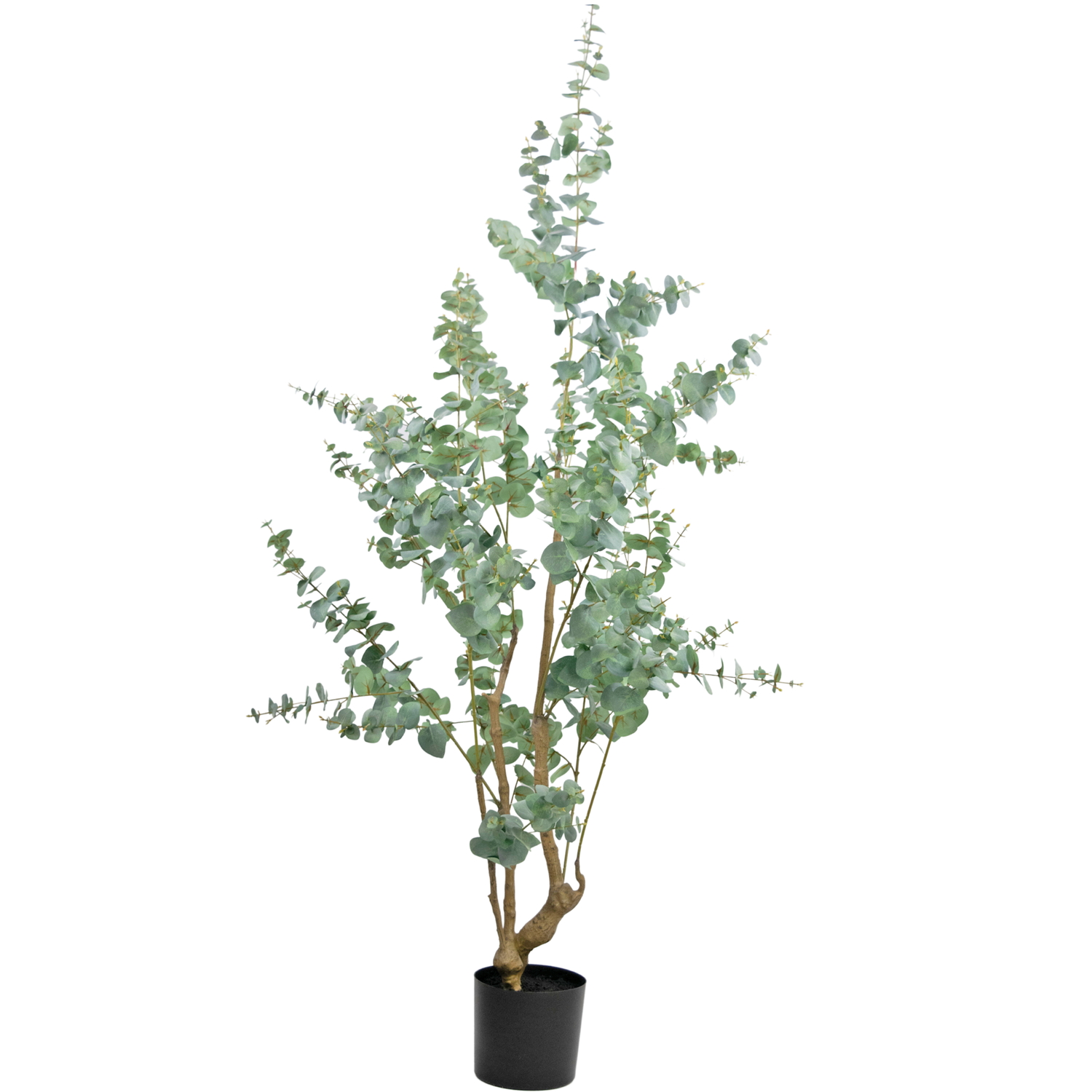 Pianta artificiale Eucalipto 240 cm - Greenmoods