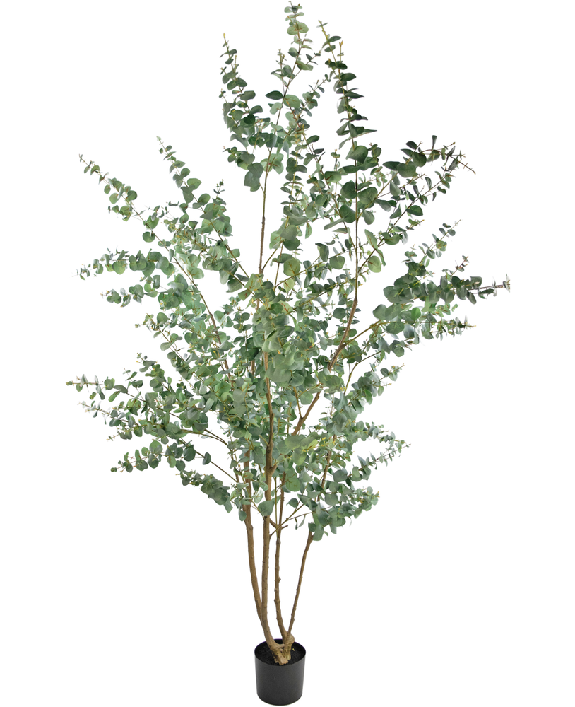 Pianta artificiale Eucalipto 240 cm - Greenmoods