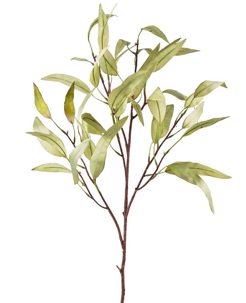 Ramo artificiale Eucalipto Niphophila 100 cm verde - Greenmoods