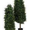 Greenmoods Kunstplant Buxus Pyramide 120 cm UV Greenmoods Kunstplant Buxus Pyramide 120 cm UV