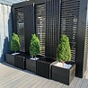 Greenmoods Kunstplant Buxus Pyramide 120 cm UV Greenmoods Kunstplant Buxus Pyramide 120 cm UV