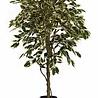 Greenmoods Kunstplant Ficus Bont 150 cm Greenmoods Kunstplant Ficus Bont 150 cm