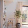 Greenmoods Kunstplant Ficus Bont 150 cm Greenmoods Kunstplant Ficus Bont 150 cm