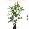 Greenmoods Kunstpalm Kentia 165 cm Greenmoods Kunstpalm Kentia 165 cm