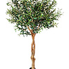 Greenmoods Kunst Olijfboom 190 cm Greenmoods Kunst Olijfboom 190 cm
