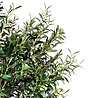 Greenmoods Kunst Olijfboom 190 cm Greenmoods Kunst Olijfboom 190 cm