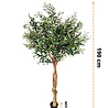 Greenmoods Kunst Olijfboom 190 cm Greenmoods Kunst Olijfboom 190 cm