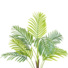Greenmoods Kunstplant Phoenix 80 cm Greenmoods Kunstplant Phoenix 80 cm