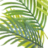 Greenmoods Kunstplant Phoenix 80 cm Greenmoods Kunstplant Phoenix 80 cm