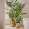 Greenmoods Kunstplant Phoenix 160 cm Greenmoods Kunstplant Phoenix 160 cm