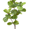 Greenmoods Kunstplant Ficus Tabaksplant 120 cm Greenmoods Kunstplant Ficus Tabaksplant 120 cm