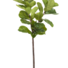 Greenmoods Kunstplant Ficus Tabaksplant 150 cm Greenmoods Kunstplant Ficus Tabaksplant 150 cm