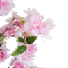 Greenmoods Kunst Kersenbloesem 180 cm roze Greenmoods Kunst Kersenbloesem 180 cm roze