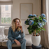 Kunstplant Hortensia 85 cm blauw Kunstplant Hortensia 85 cm blauw