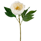 Greenmoods Pivoine artificielle Real Touch blanche 58 cm Greenmoods Pivoine artificielle Real Touch blanche 58 cm