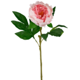 Greenmoods Pivoine artificielle Real Touch Rose 58 cm Greenmoods Pivoine artificielle Real Touch Rose 58 cm