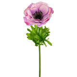 Greenmoods Anémone artificielle Real Touch violette 52 cm Greenmoods Anémone artificielle Real Touch violette 52 cm