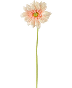 Greenmoods Fleur artificielle Gerbera mini 47 cm rose tendre Greenmoods Fleur artificielle Gerbera mini 47 cm rose tendre