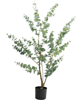 Greenmoods Kunstplant Eucalyptus 150 cm Greenmoods Kunstplant Eucalyptus 150 cm