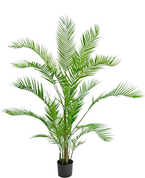Greenmoods Kunstplant Chamaedorea 150 cm Greenmoods Kunstplant Chamaedorea 150 cm