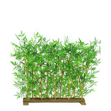 Greenmoods Kunstplant Bamboescherm 70x120 cm Greenmoods Kunstplant Bamboescherm 70x120 cm