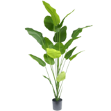 Greenmoods Plante artificielle Strelitzia 210 cm real touch Greenmoods Plante artificielle Strelitzia 210 cm real touch