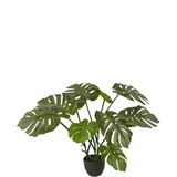 Greenmoods Monstera artificiel 50 cm Greenmoods Monstera artificiel 50 cm