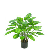 Greenmoods Kunstplant Calathea Makoyana 75 cm rood Greenmoods Kunstplant Calathea Makoyana 75 cm rood