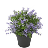 Greenmoods Kunstplant Buxus paars 22 cm UV Greenmoods Kunstplant Buxus paars 22 cm UV