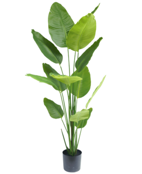Greenmoods Artificial plant Strelitzia 180 cm real touch