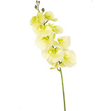 Greenmoods Orchidée artificielle Real Touch Deluxe 105 cm blanc/jaune Greenmoods Orchidée artificielle Real Touch Deluxe 105 cm blanc/jaune
