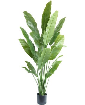 Greenmoods Pianta artificiale Strelitzia Nicolai Deluxe 195 cm