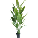 Greenmoods Plante artificielle Strelitzia Nicolai Deluxe 235 cm Greenmoods Plante artificielle Strelitzia Nicolai Deluxe 235 cm