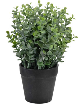 Greenmoods Plante artificielle Pumila 23 cm Greenmoods Plante artificielle Pumila 23 cm