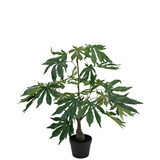 Greenmoods Plante artificielle feuilles de chanvre cannabis 60 cm Greenmoods Plante artificielle feuilles de chanvre cannabis 60 cm