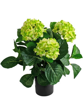 Greenmoods Hortensia artificiel vert 43 cm Greenmoods Hortensia artificiel vert 43 cm