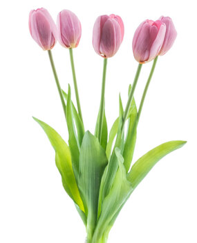 Greenmoods Bouquet de tulipes artificielles Real Touch Violet 40 cm Greenmoods Bouquet de tulipes artificielles Real Touch Violet 40 cm