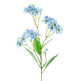 Greenmoods Fleur artificielle Orchidée Real Touch Bleu 50 cm Greenmoods Fleur artificielle Orchidée Real Touch Bleu 50 cm