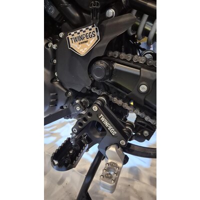 TwinPegs Himalayan RE450 - Natural anodizing