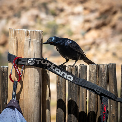 Turkana Gear BatBelt™ Daisy Chain