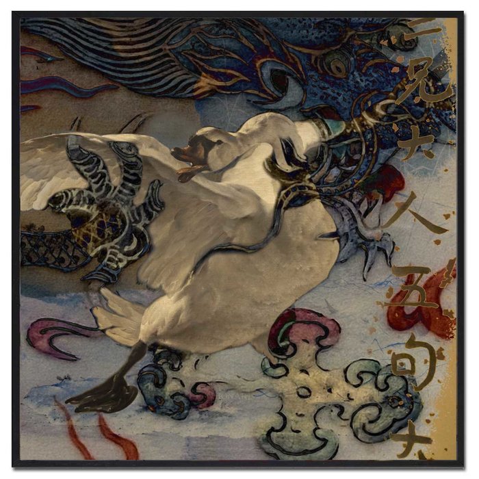 Witte Zwaan | Fotokunst op dibond