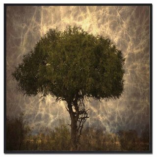 Fotokunst | Boom I