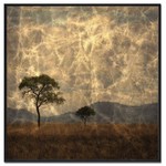 Boom III | Fotokunst op dibond