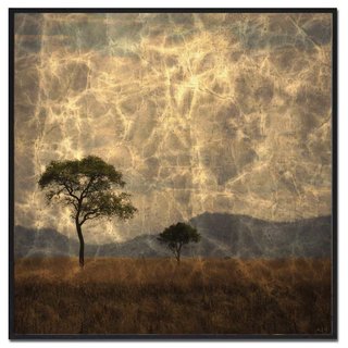 Fotokunst | Boom III