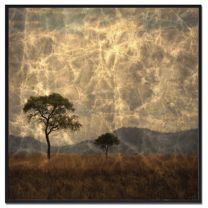 Boom III | Fotokunst op dibond