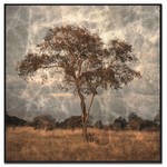 Tree IV Fotokunst op dibond