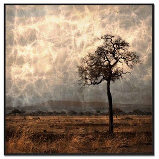 Fotokunst | Tree V