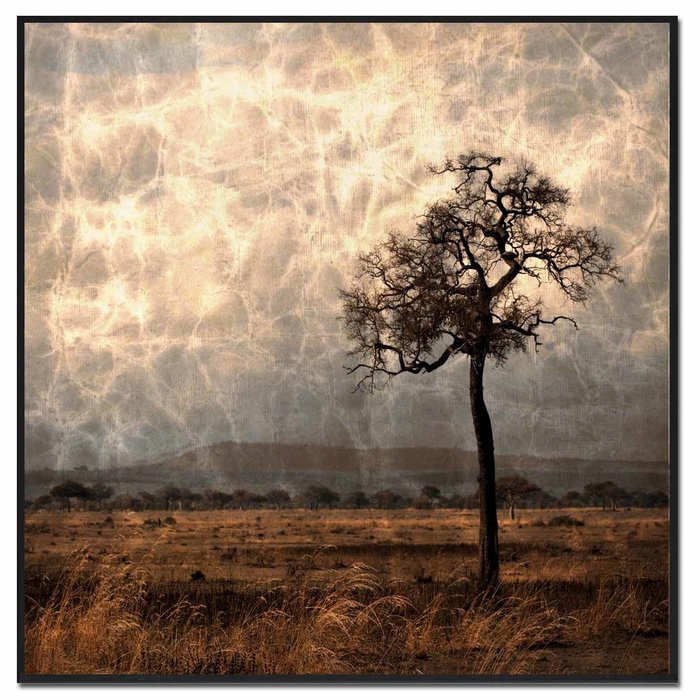 Tree V | Fotokunst op dibond