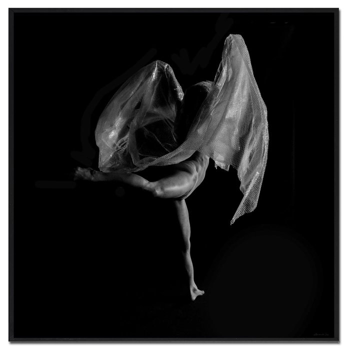 Dancer | Fotokunst op dibond